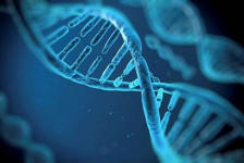 DNA